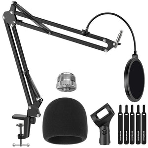 Microphone with stand