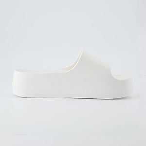 Slides